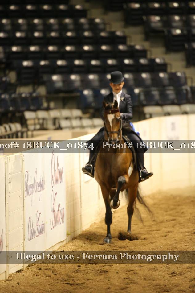 Proof 18BUCK_01874