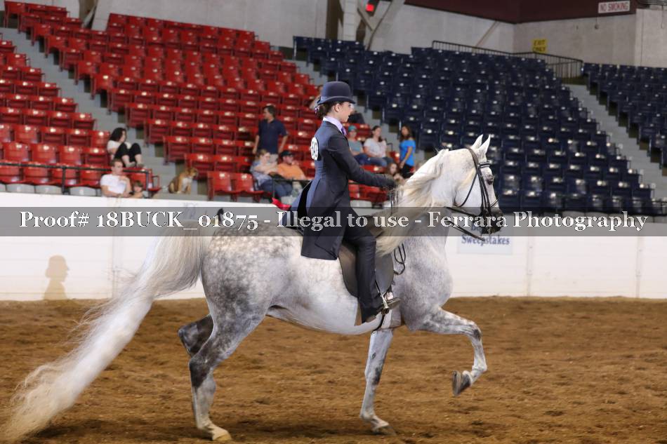 Proof 18BUCK_01875