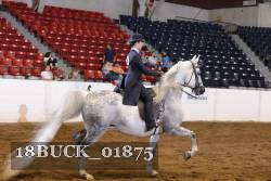 18BUCK_01875 proof