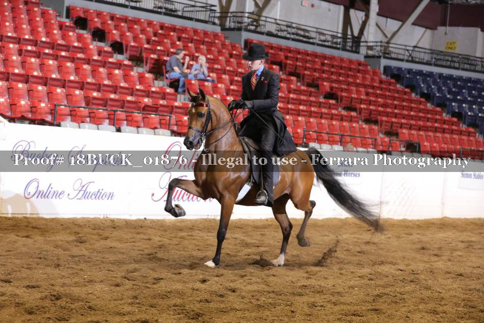 Proof 18BUCK_01876