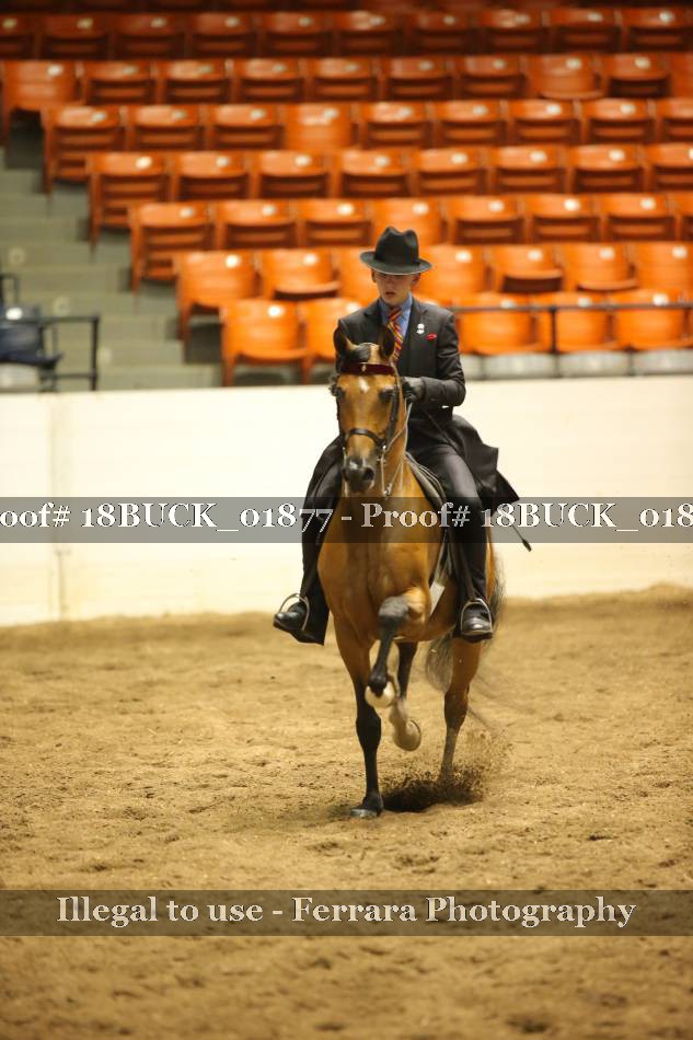 Proof 18BUCK_01877