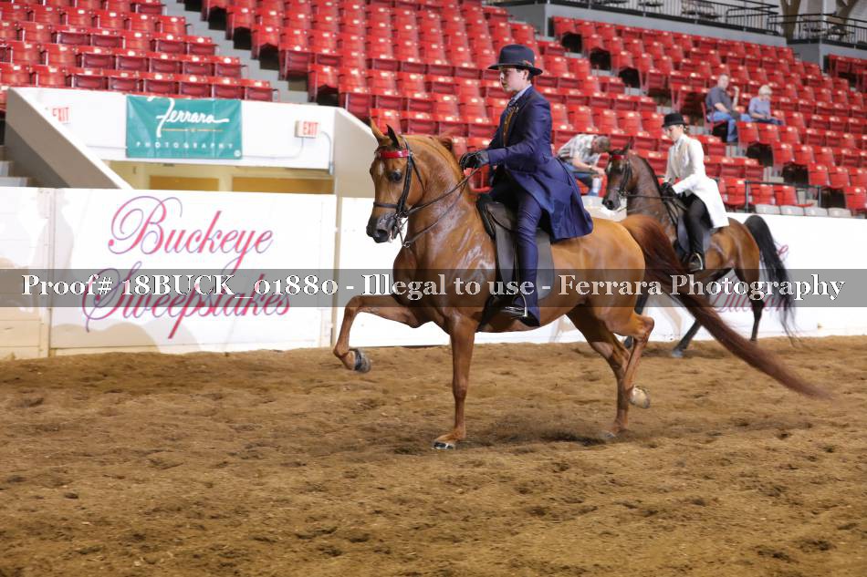 Proof 18BUCK_01880