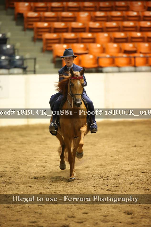 Proof 18BUCK_01881