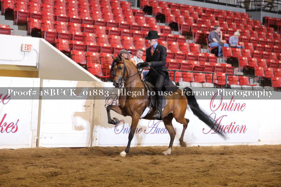 Proof 18BUCK_01883