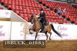 18BUCK_01883 proof