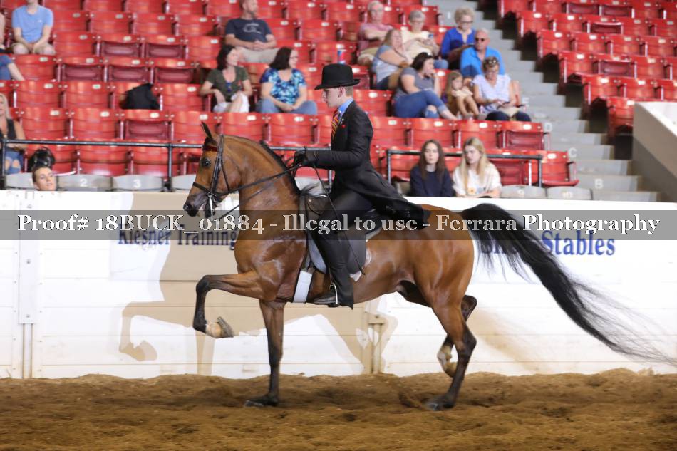 Proof 18BUCK_01884