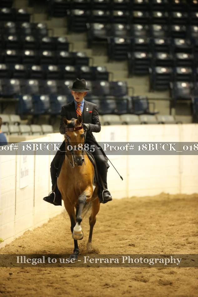 Proof 18BUCK_01885