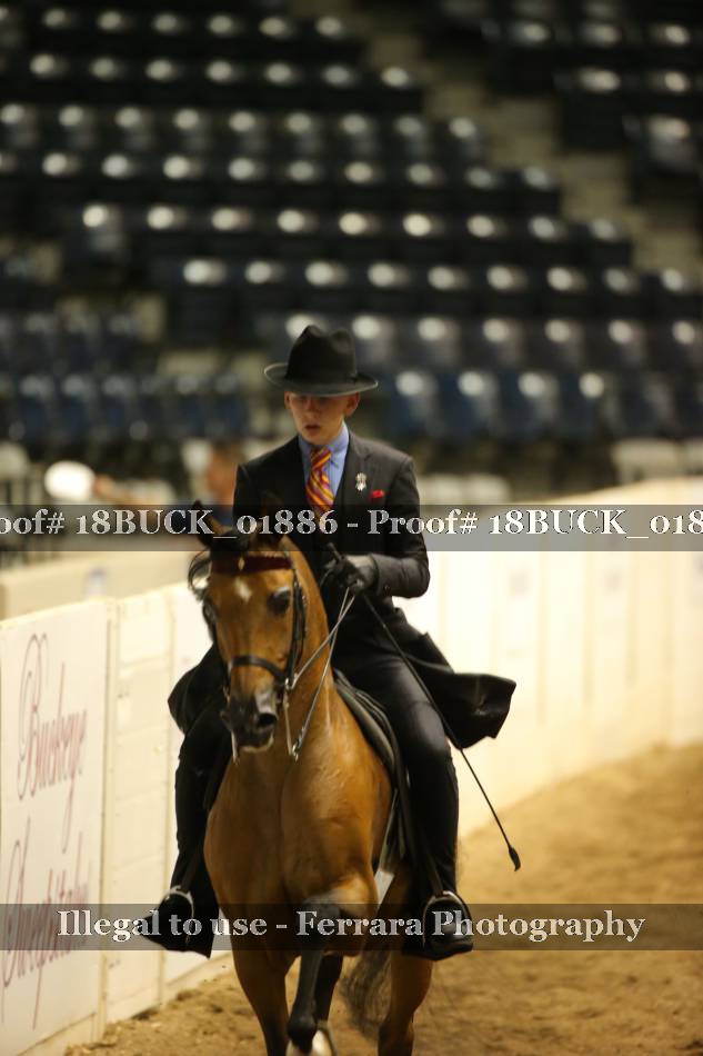 Proof 18BUCK_01886