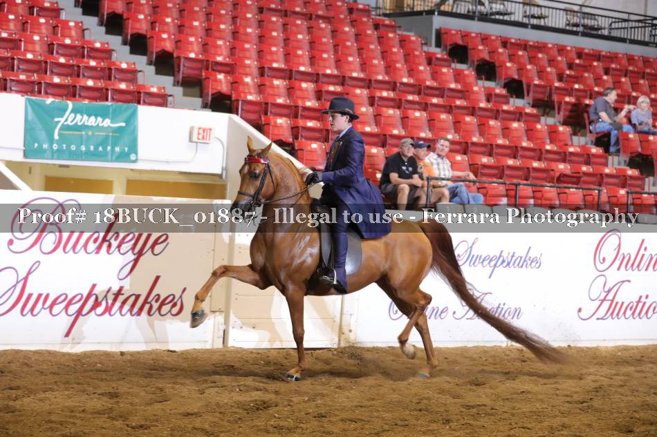 Proof 18BUCK_01887