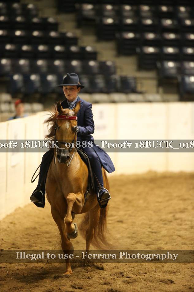 Proof 18BUCK_01888