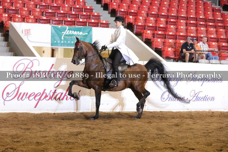 Proof 18BUCK_01889