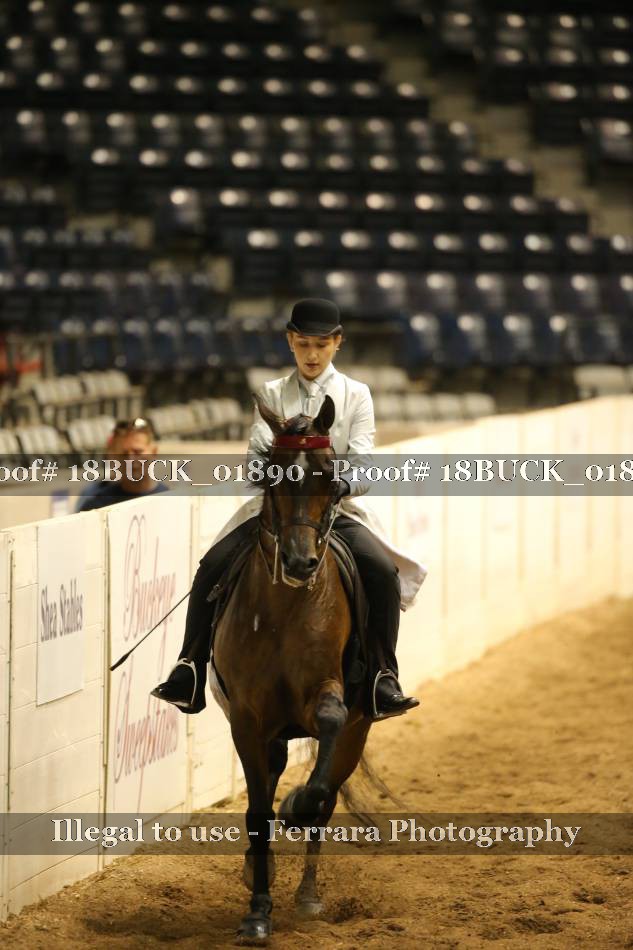 Proof 18BUCK_01890