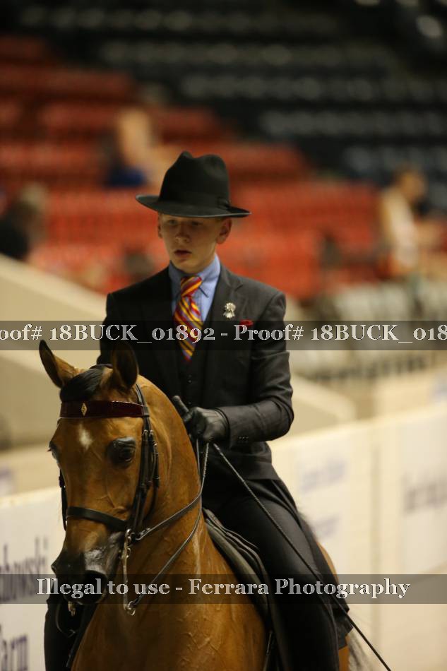 Proof 18BUCK_01892