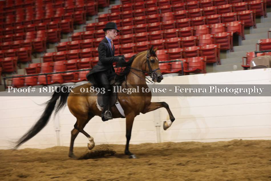 Proof 18BUCK_01893