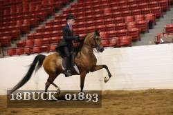 18BUCK_01893 proof