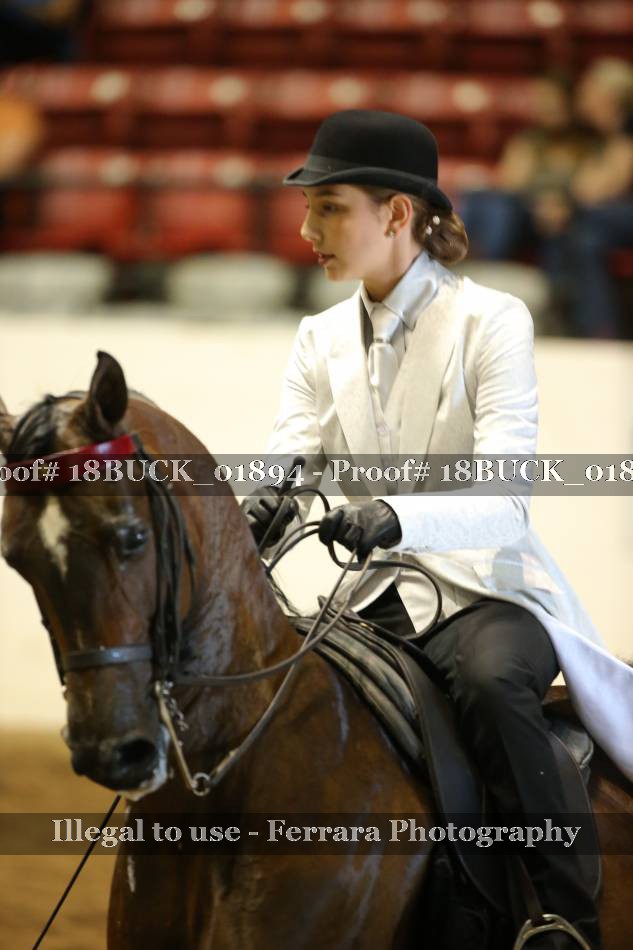 Proof 18BUCK_01894