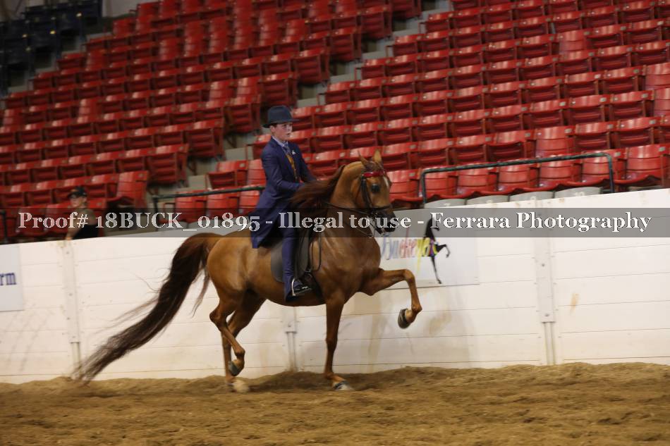 Proof 18BUCK_01895