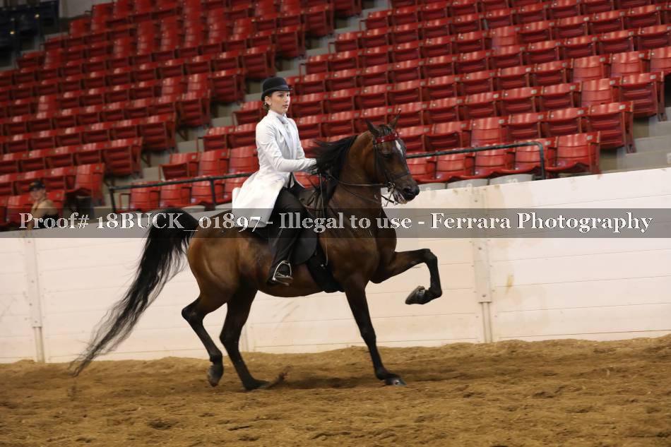 Proof 18BUCK_01897