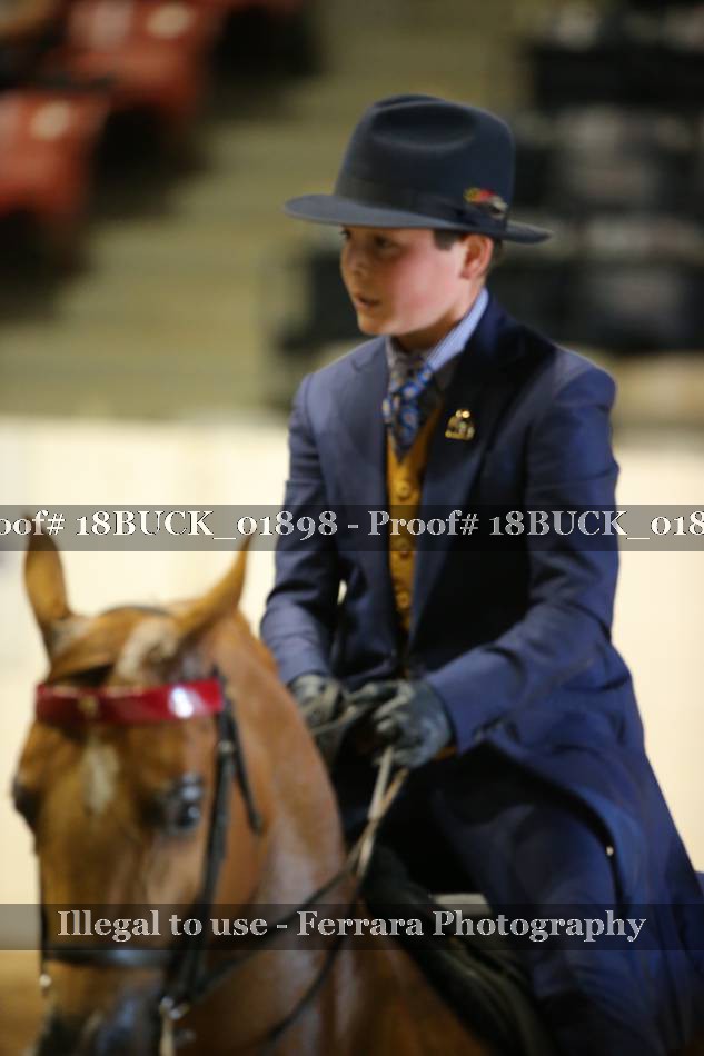 Proof 18BUCK_01898