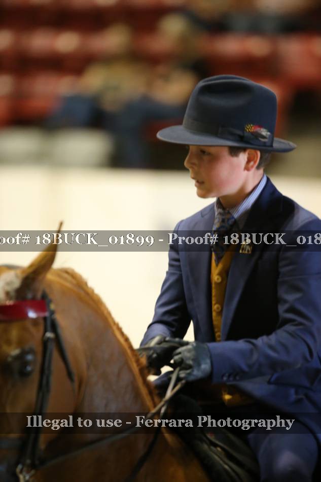 Proof 18BUCK_01899