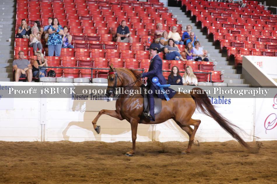 Proof 18BUCK_01901