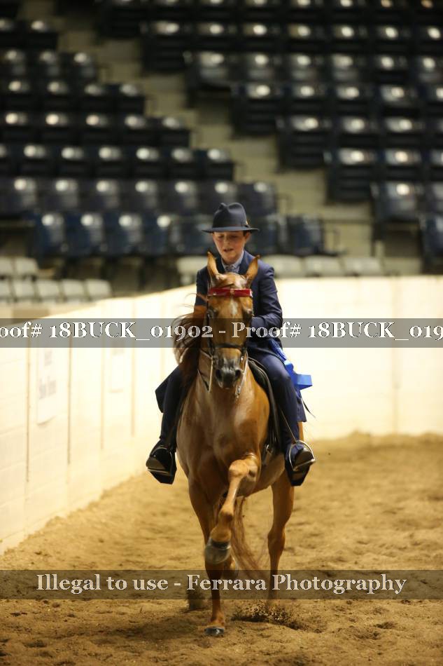 Proof 18BUCK_01902