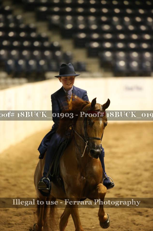 Proof 18BUCK_01903