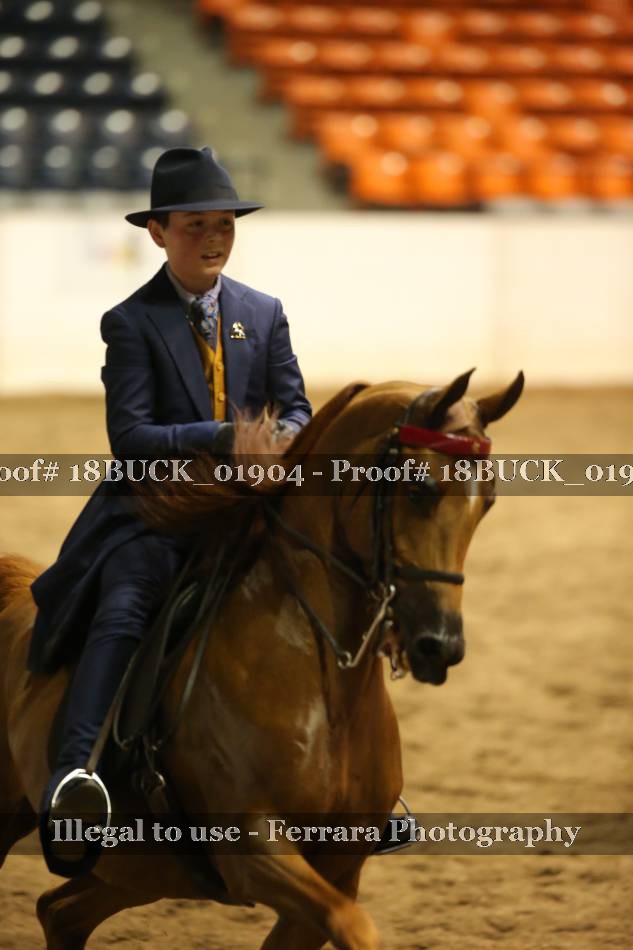 Proof 18BUCK_01904