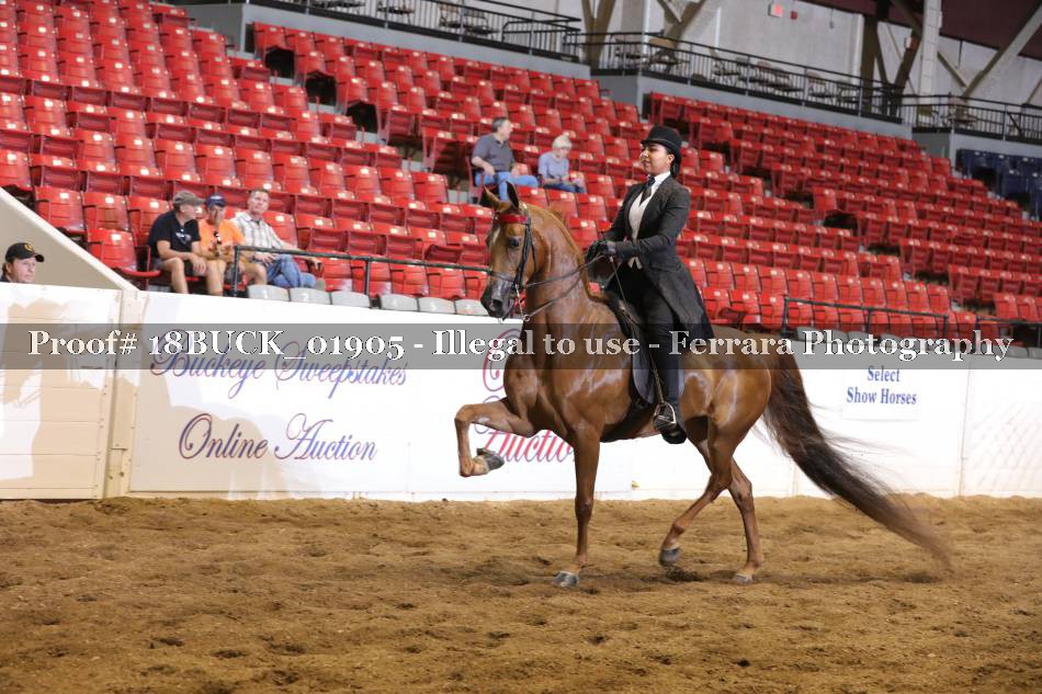 Proof 18BUCK_01905