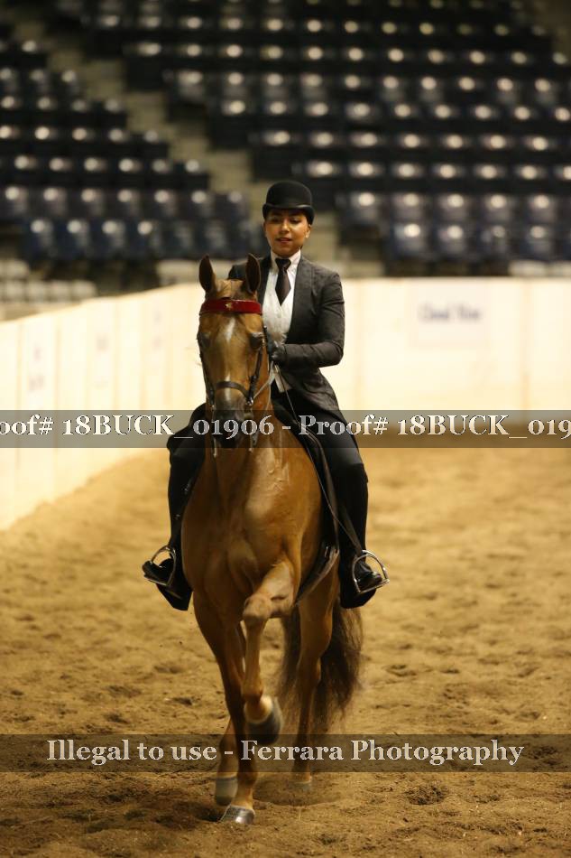 Proof 18BUCK_01906