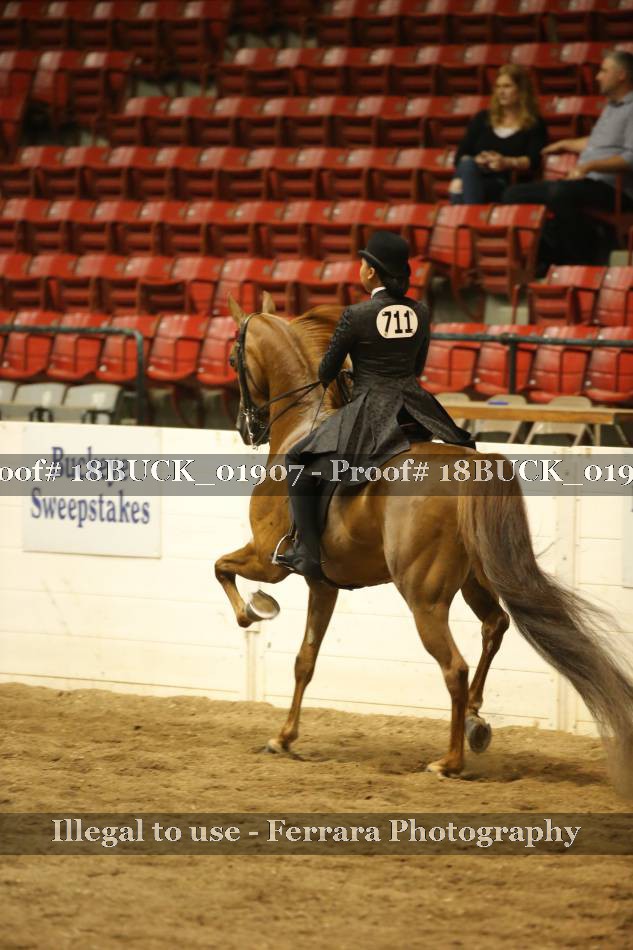 Proof 18BUCK_01907