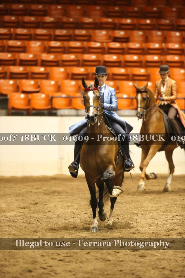 Proof 18BUCK_01909