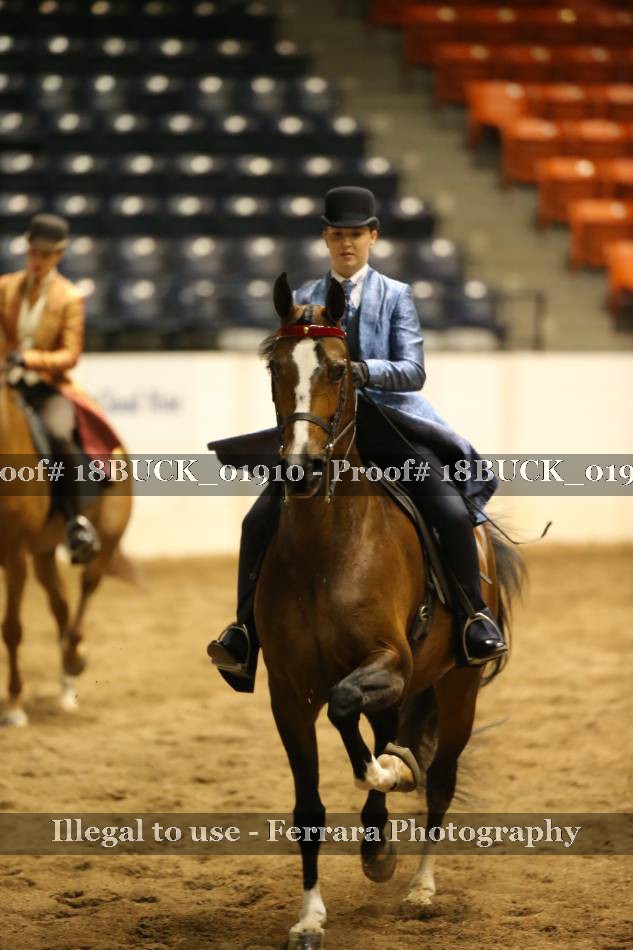 Proof 18BUCK_01910
