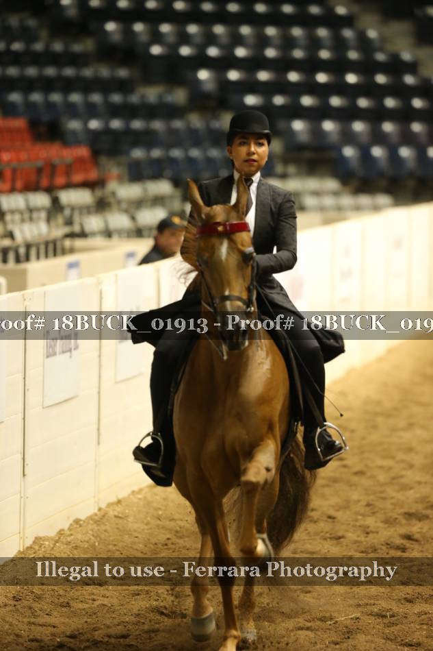 Proof 18BUCK_01913