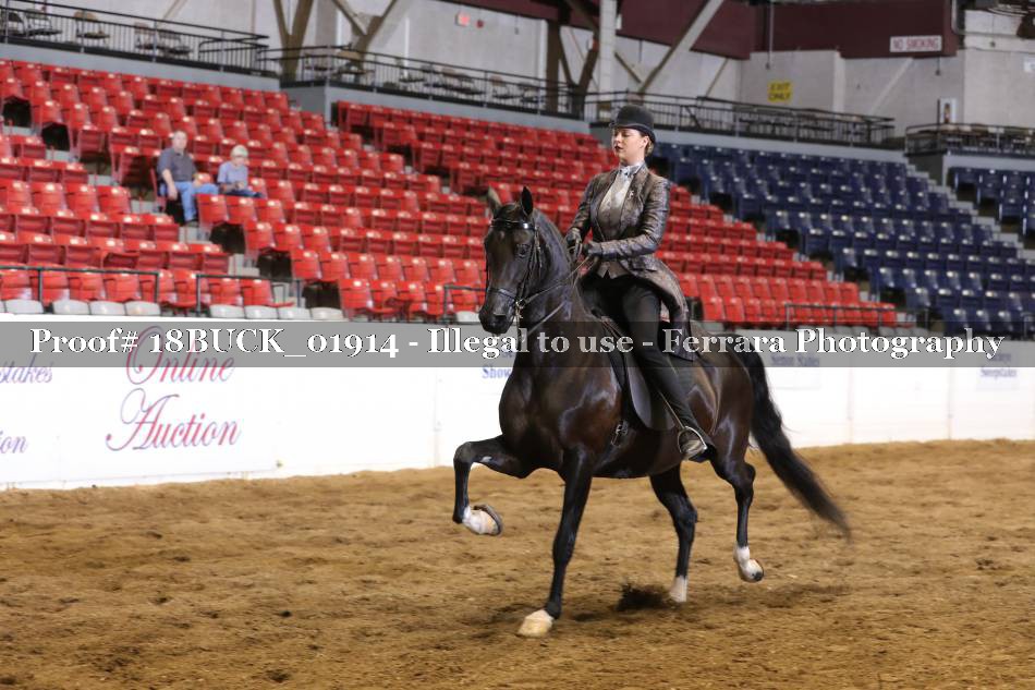Proof 18BUCK_01914