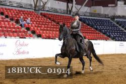 18BUCK_01914 proof