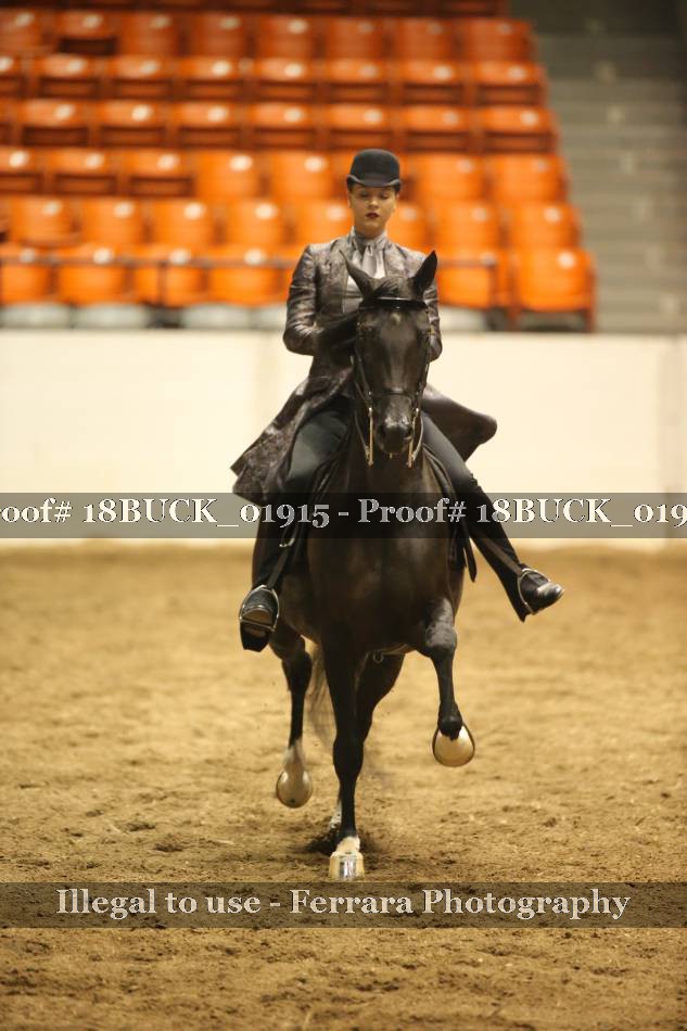 Proof 18BUCK_01915