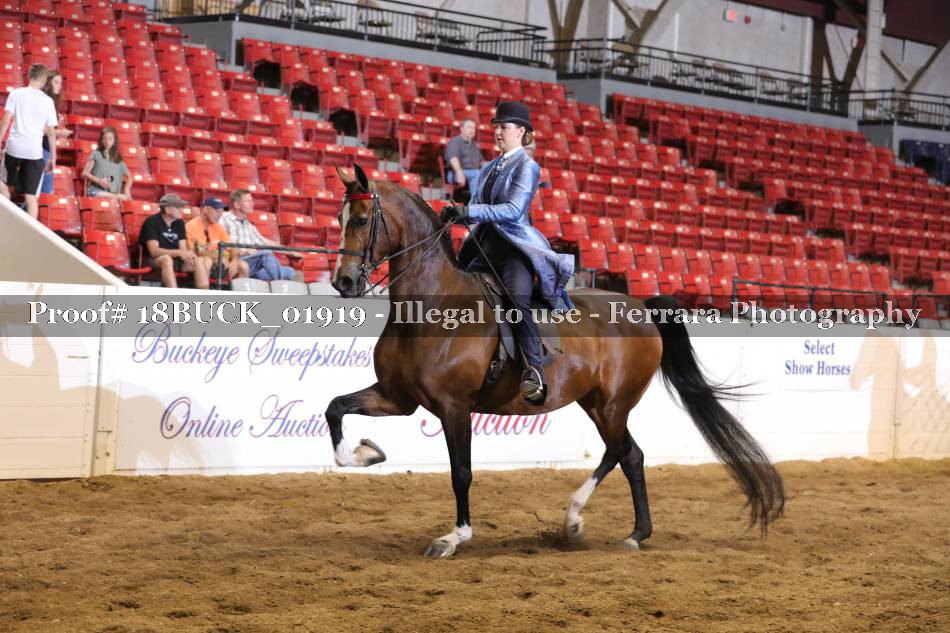Proof 18BUCK_01919