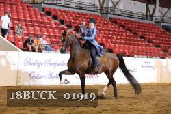18BUCK_01919 proof