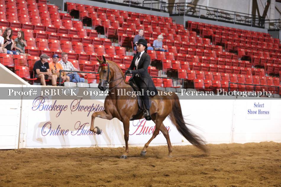 Proof 18BUCK_01922