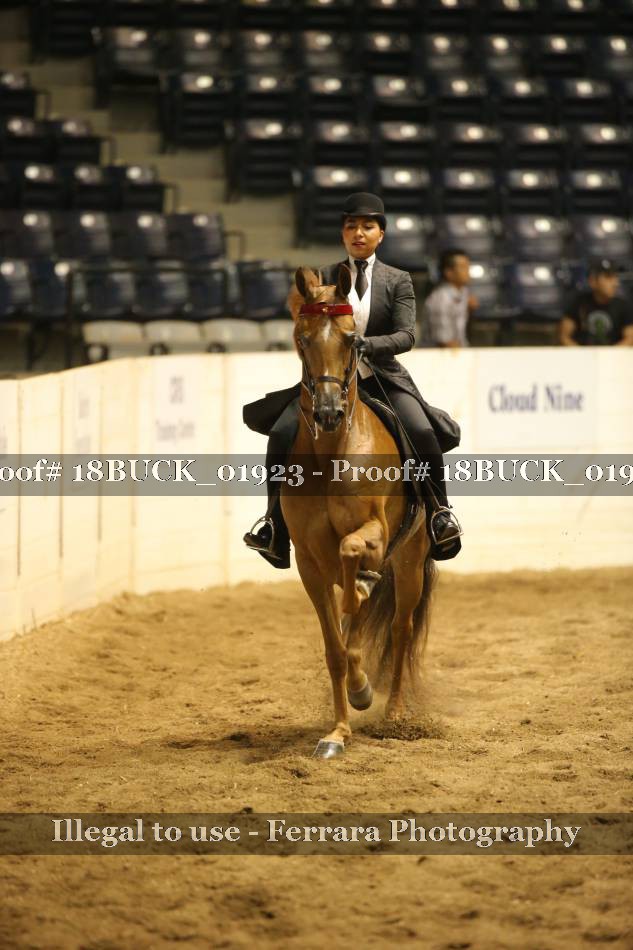 Proof 18BUCK_01923
