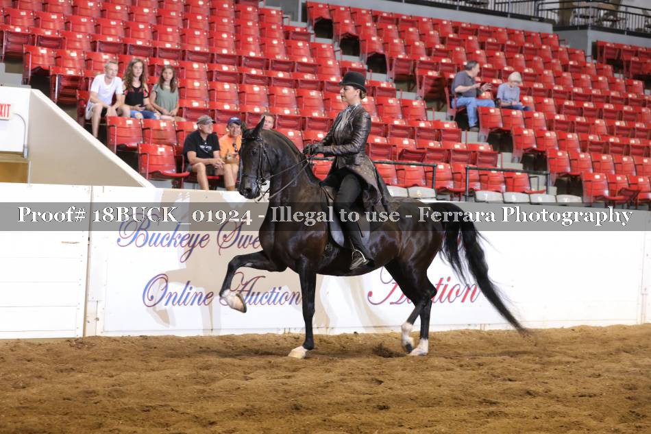 Proof 18BUCK_01924