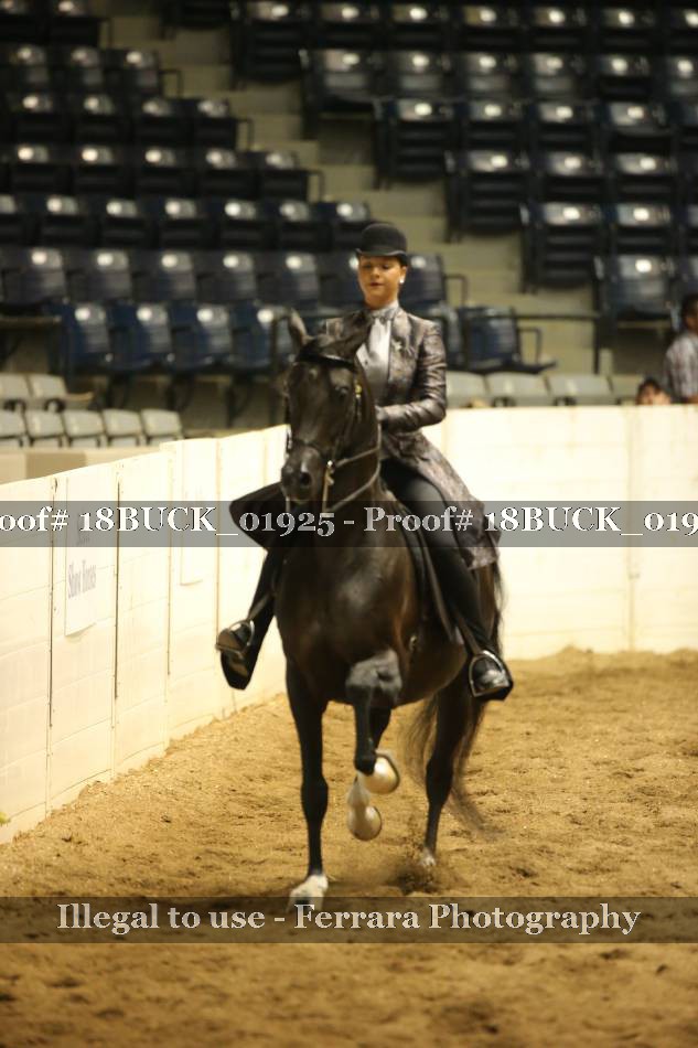 Proof 18BUCK_01925