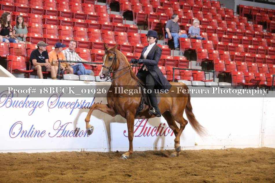 Proof 18BUCK_01926