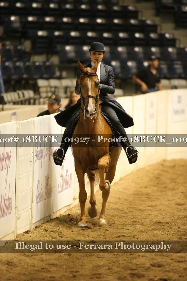 Proof 18BUCK_01927