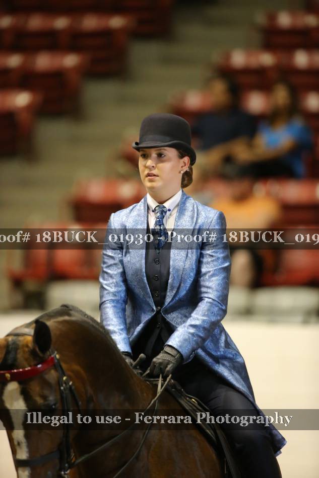 Proof 18BUCK_01930