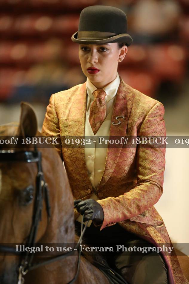 Proof 18BUCK_01932