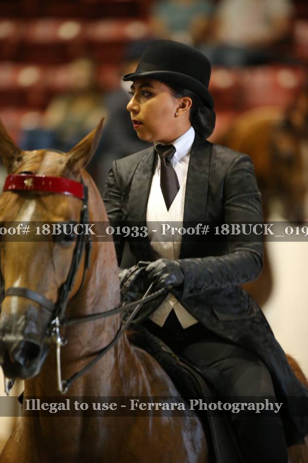 Proof 18BUCK_01933