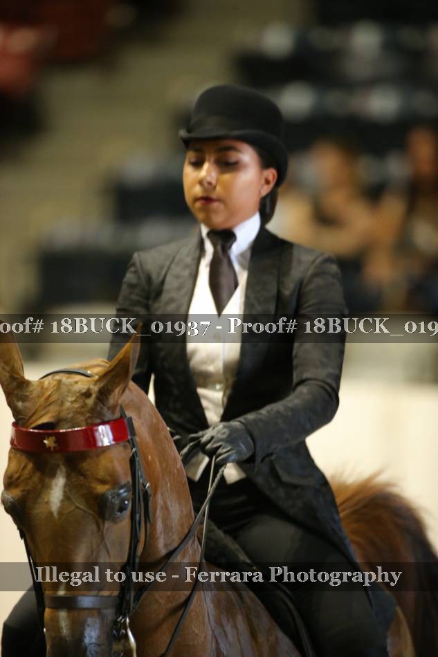Proof 18BUCK_01937