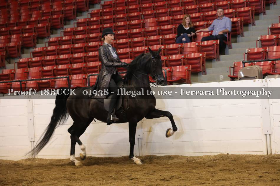 Proof 18BUCK_01938